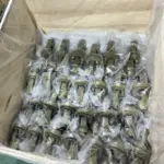 Wide Angle Joint PTO Drive Shaft - Smooth Power Transfer on Hillsides & Rough Terrain